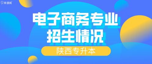 电子商务专业专升本考试科目