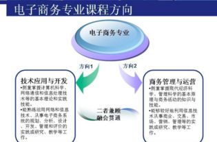 电子商务专业分方向