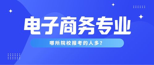 电子商务专业学习内容