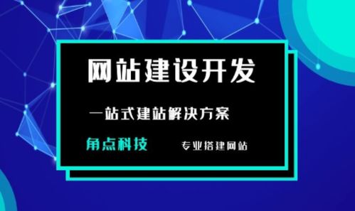 专业角电子商务