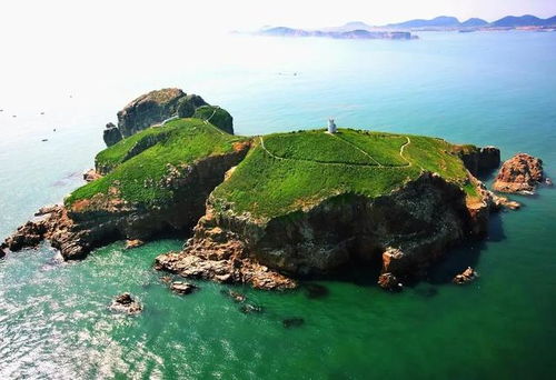 浙江一地招募守鸟人，体验海岛生活，共度四个月生态守护之旅