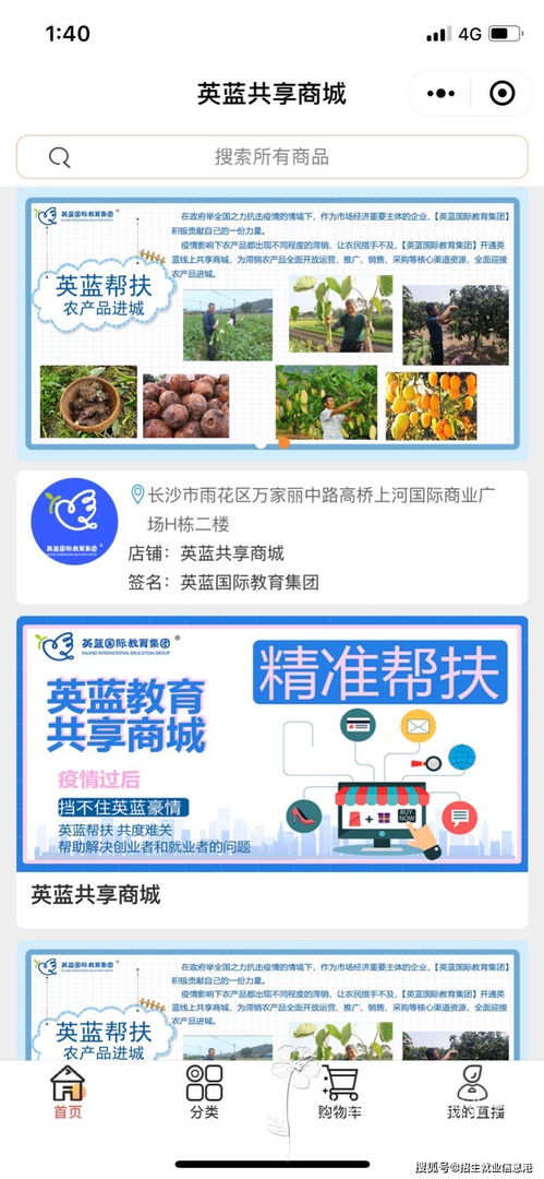 长沙招聘 电子商务专业