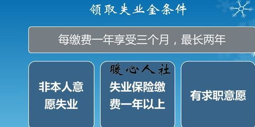 代表建议降低灵活就业者社保参保门槛