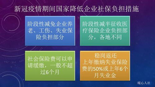 委员呼吁改革社保制度，个体应享有自由选择是否缴纳社保的权利