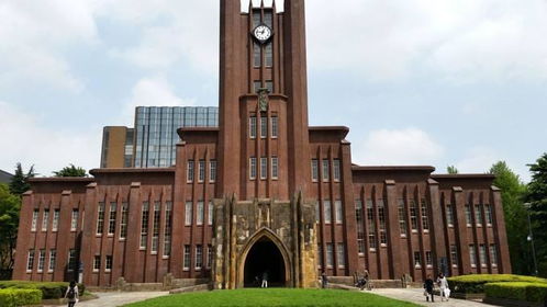 东京大学电子商务专业