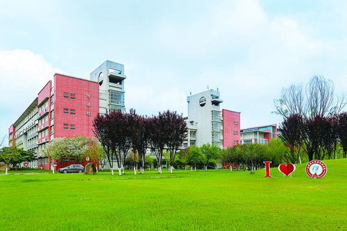 济南电子商务专业大学